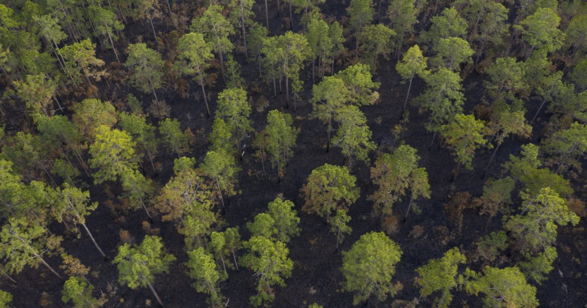 Ceylon Wildlife Management Area Open Space Institute (enUS)