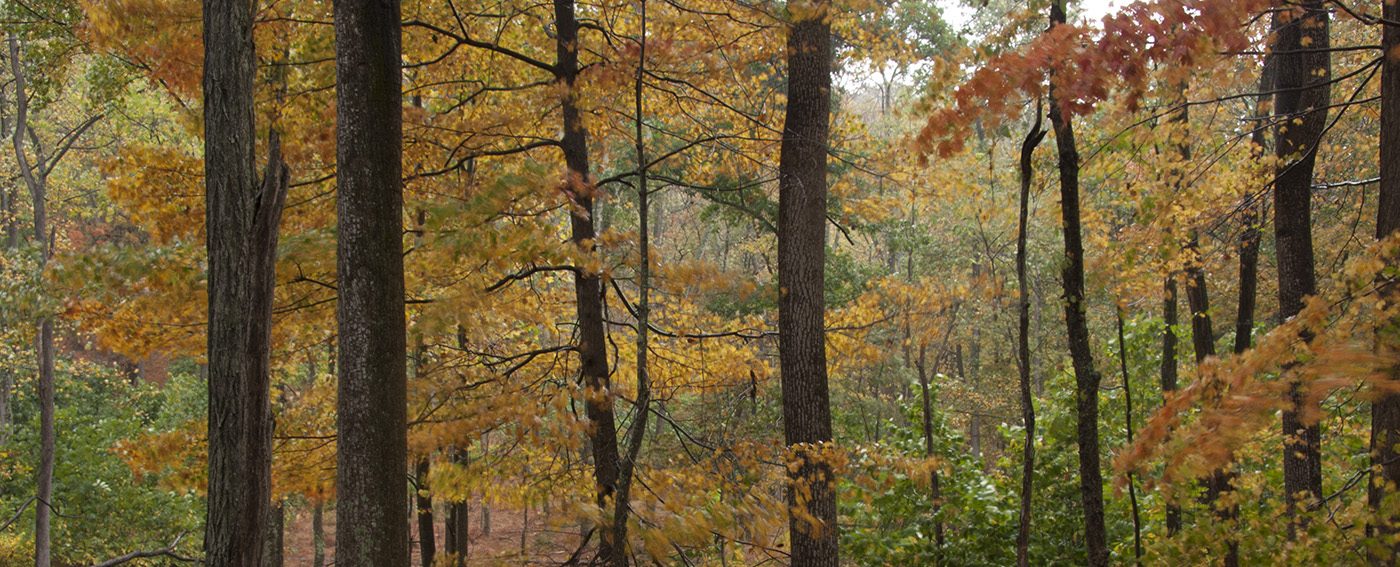 West Virginia's Eastern Panhandle Open Space Institute