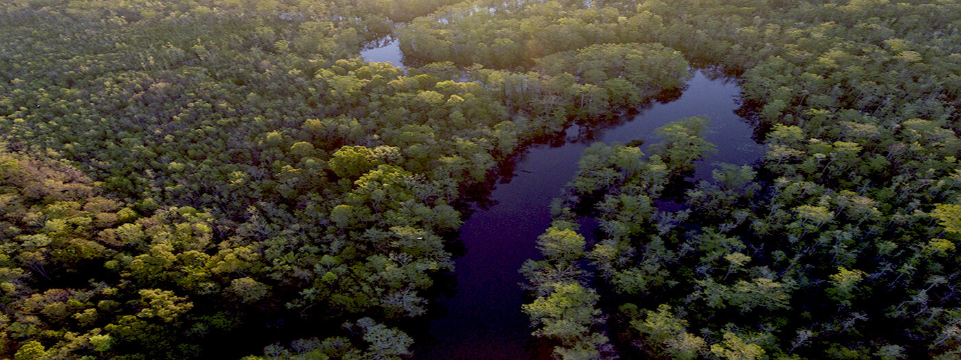 'Connecting to SC's Black River' Story Map (2021) Open Space Institute