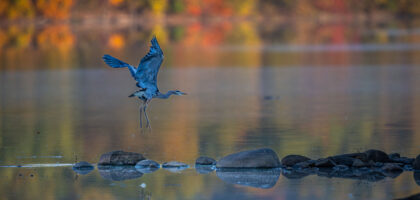 Boonton Reservoir, NJ October 2023