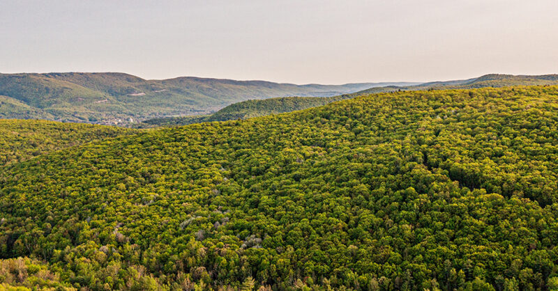 New OSI Land Acquisition Strengthens Conservation Connection