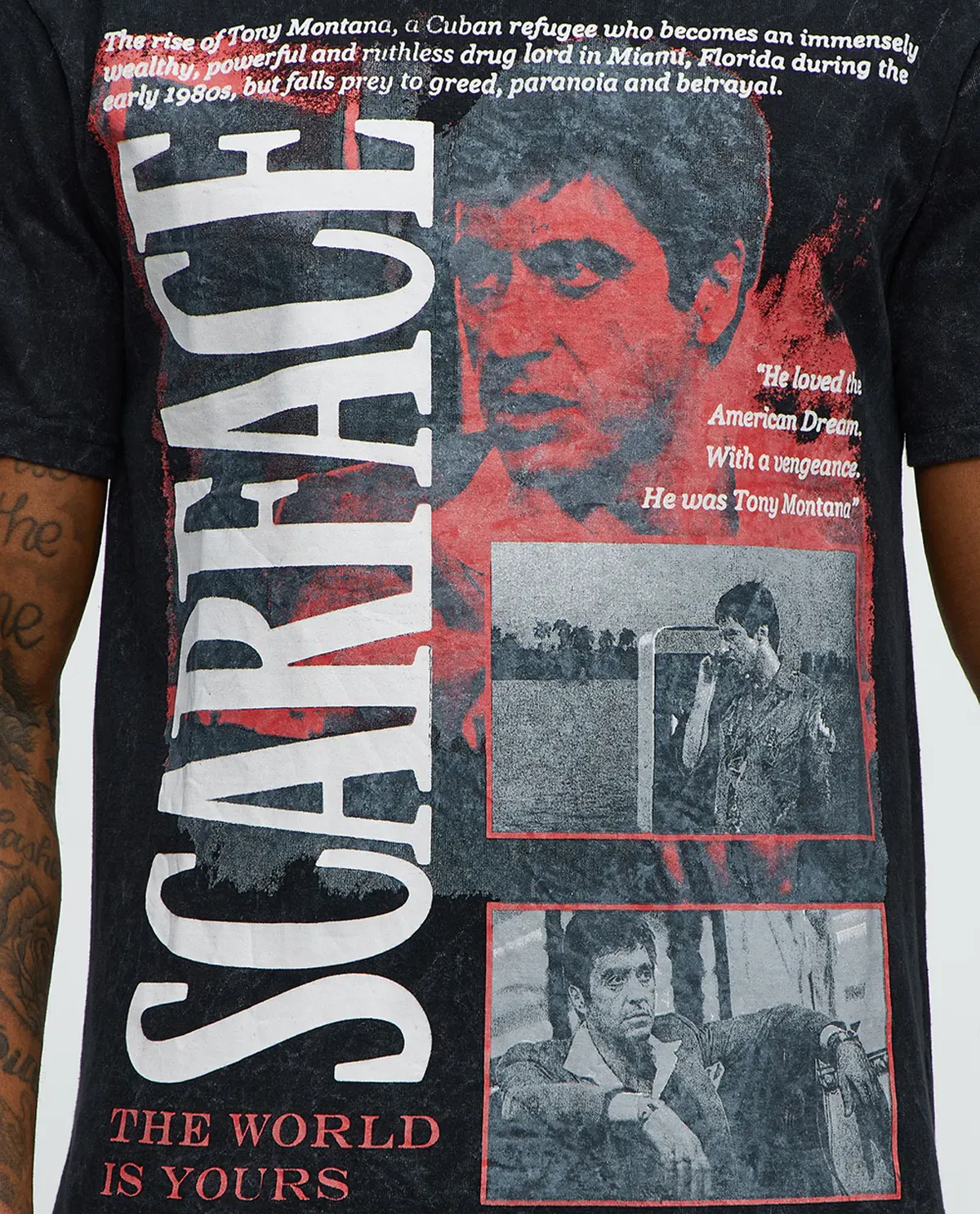 Scarface The World Is Yours
