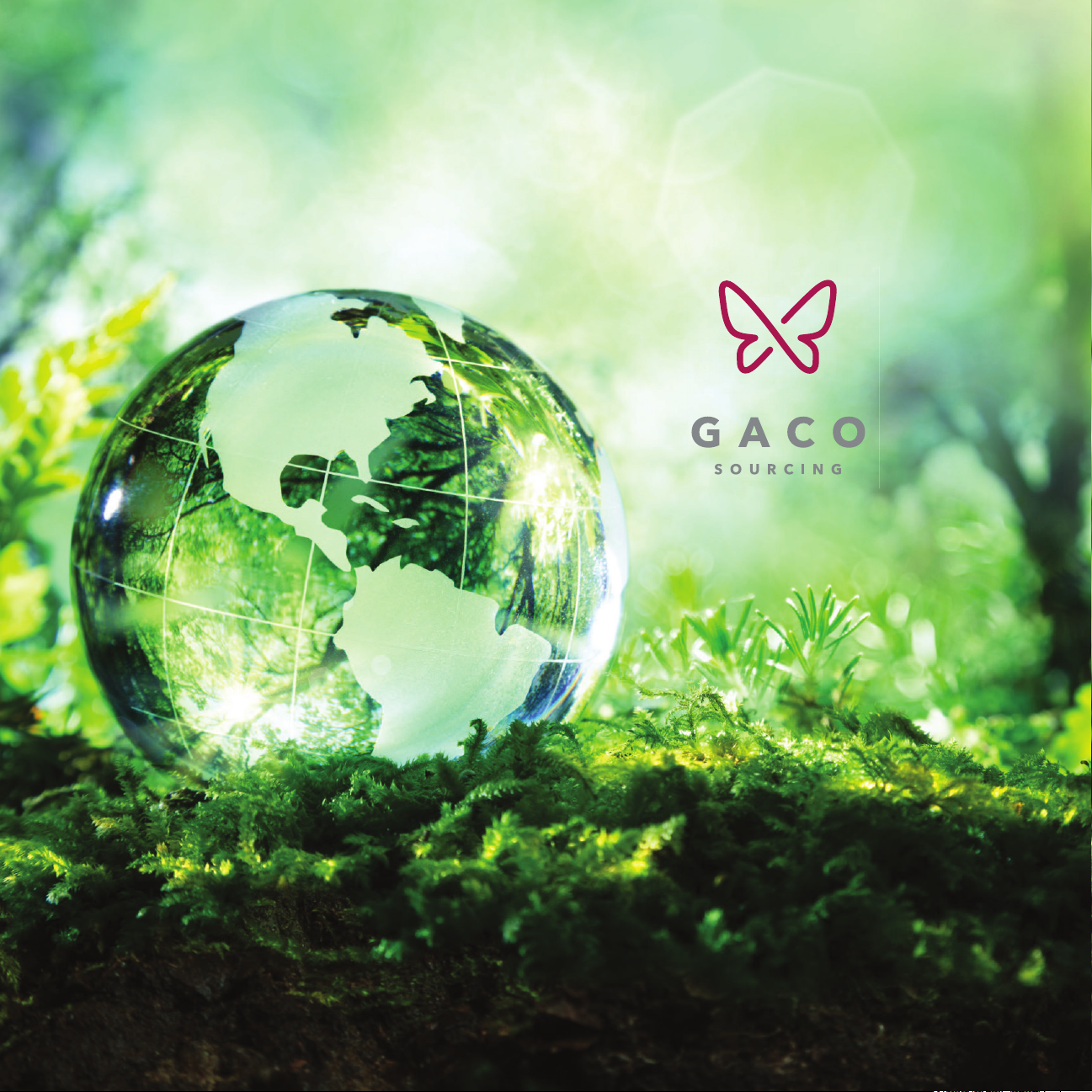 Eco-Friendly – Sustainability Lookbook