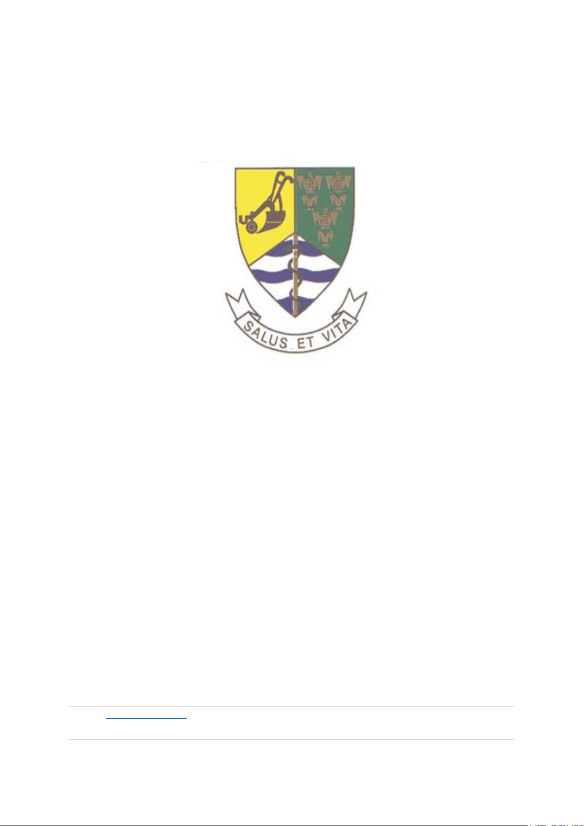 2024/2025 MID-YEAR BUDGET AND PERFORMANCE ASSESSMENT REPORT: BELA-BELA LOCAL MUNICIPALITY