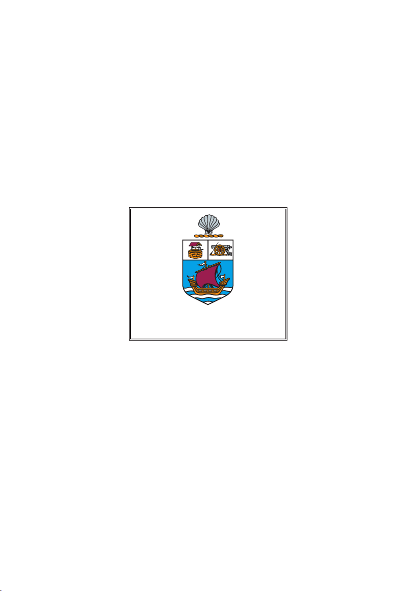 ANNUAL REPORT