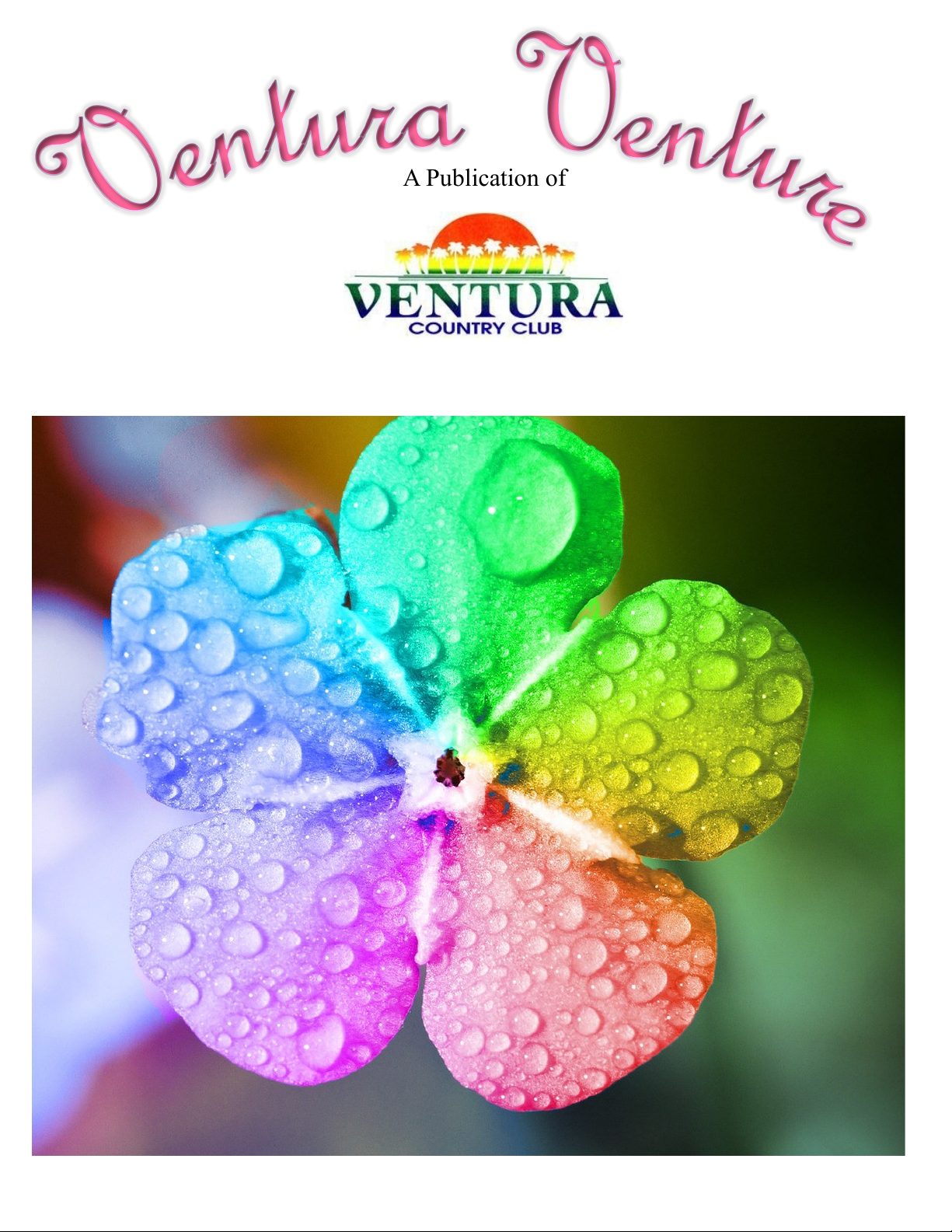 Ventura Venture