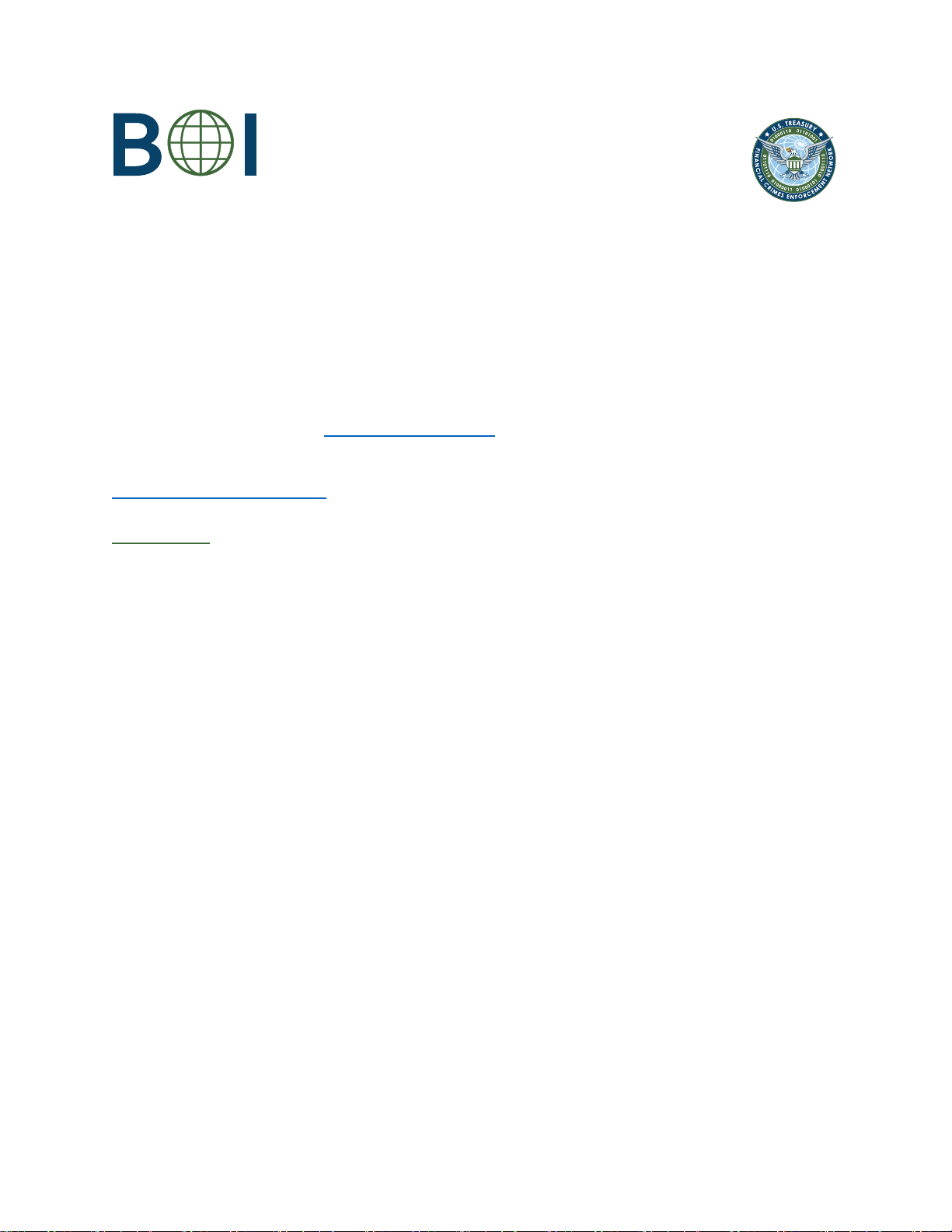 受益所有權資訊報告常見問題解答