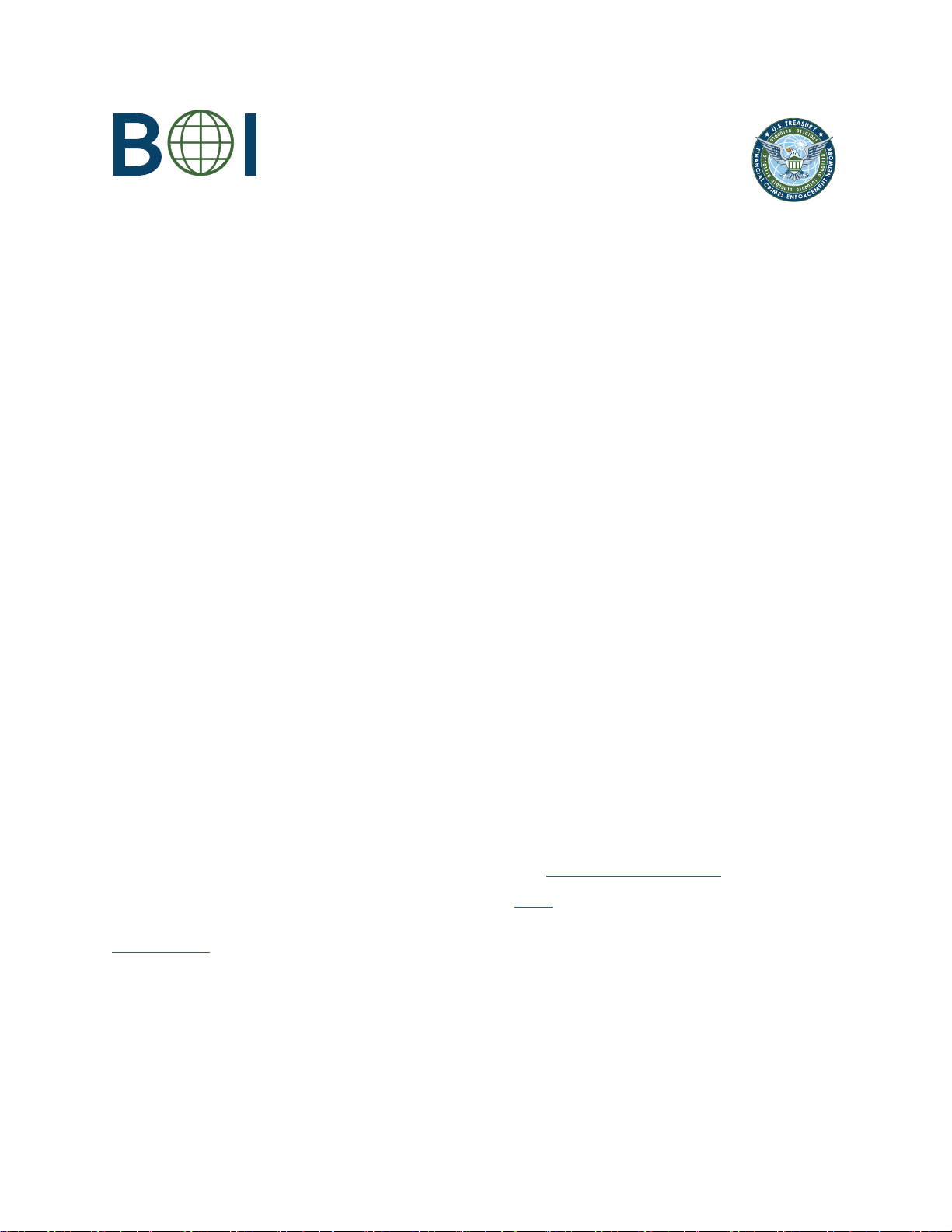 受益所有權資訊報告常見問題解答