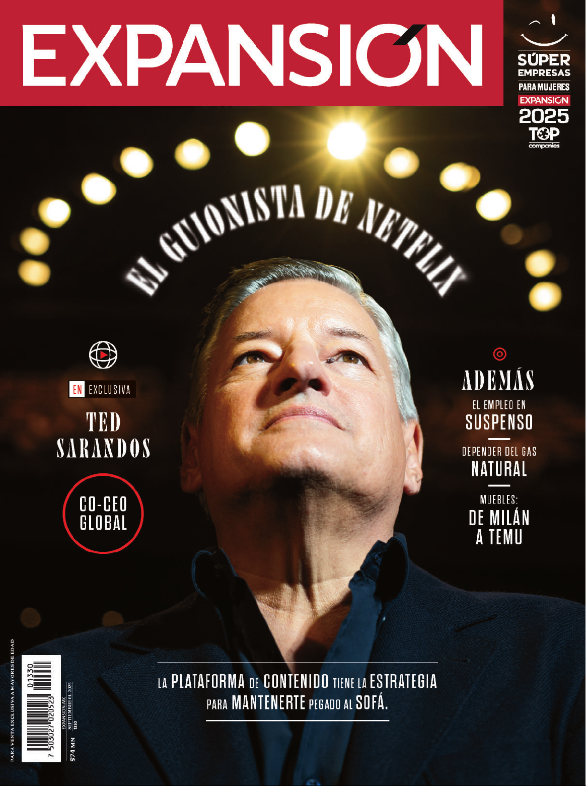 EL GUIONISTA DE NETFLIX