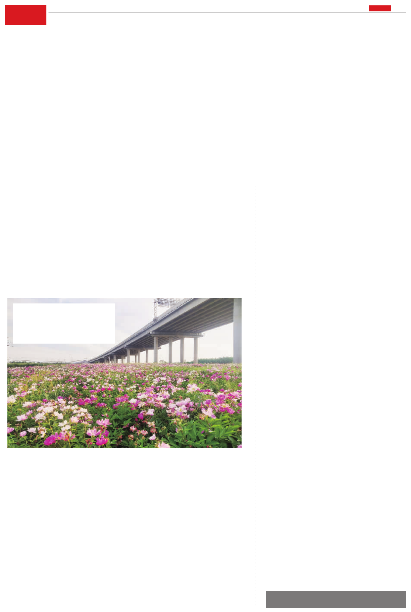 成功签约 2 个项目 签约金额超百亿