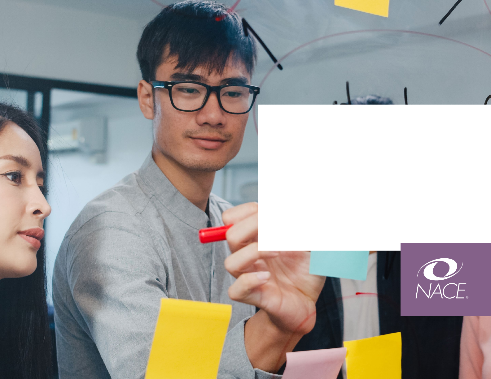 NACE Competency Assessment Tool: User Manual for Employers