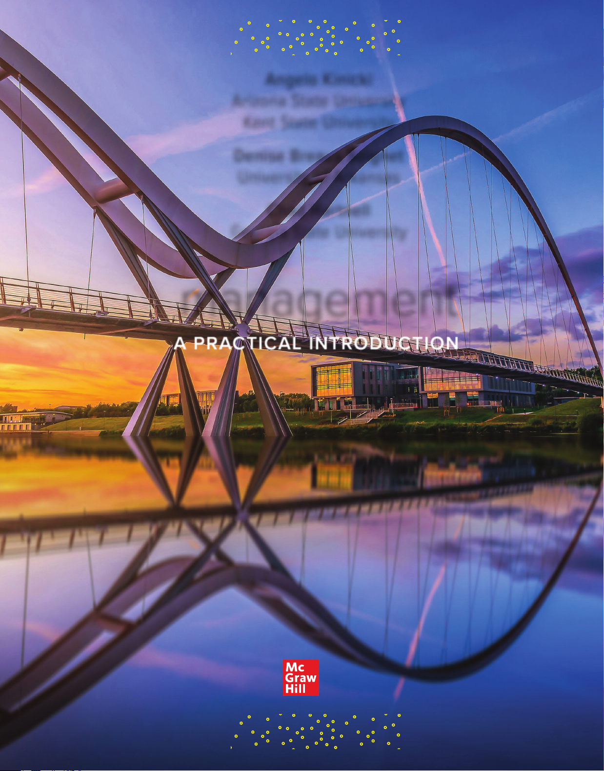 Management: A Practical Introduction, 2024 Release