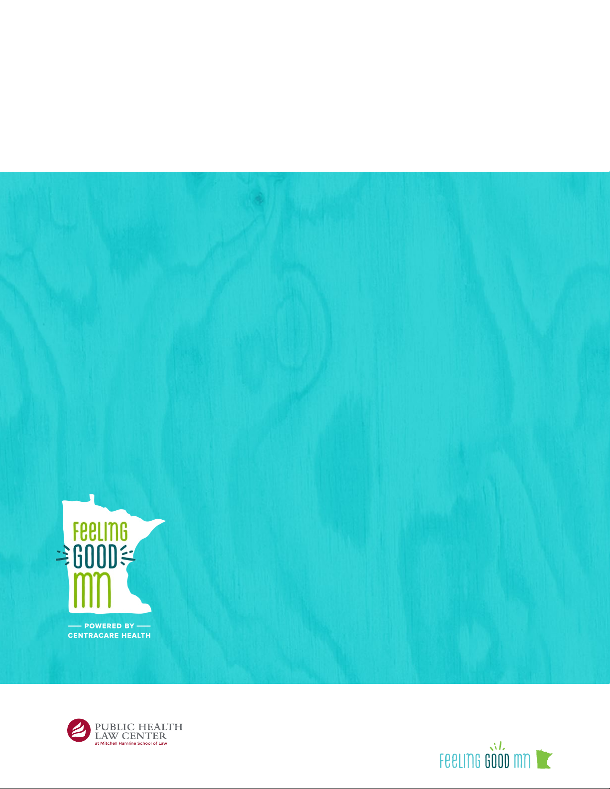 Healthy Eating Policy Options for Minnesota Local Governments
