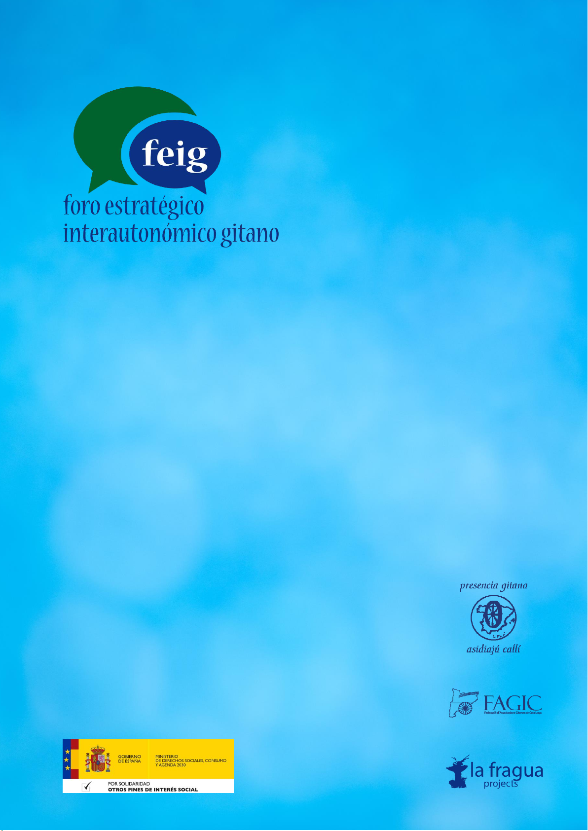 Informe FEIG 2025 sobre la implementación de la Estrategia Estatal Gitana en las Comunidades Autónomas