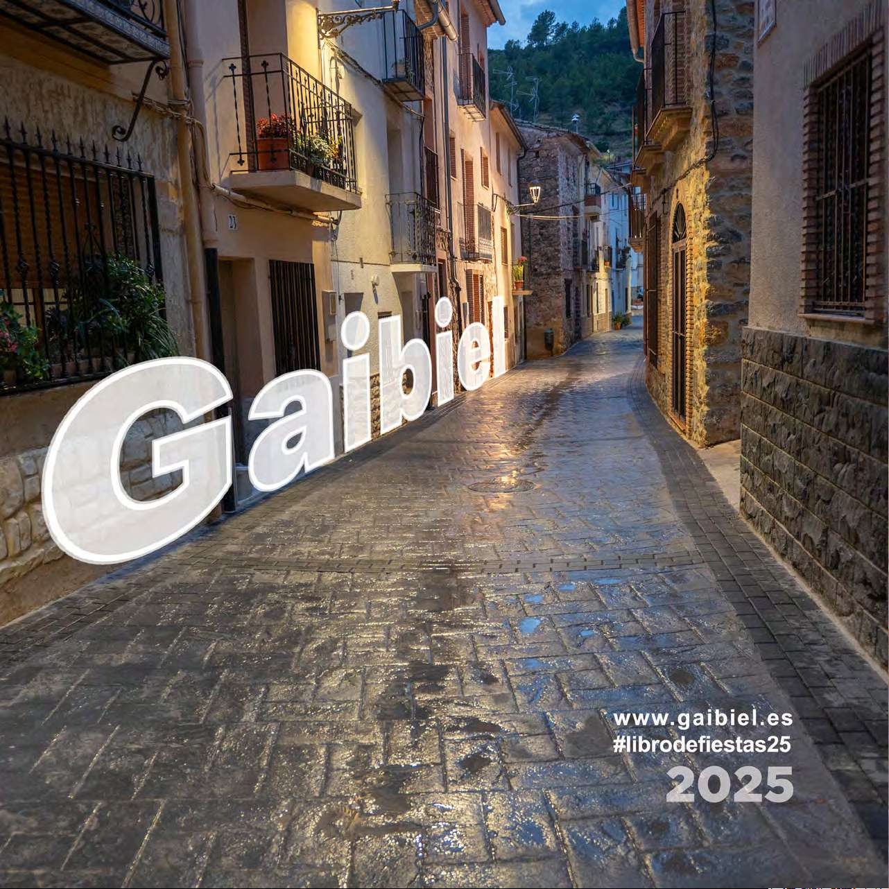 Libro de Fiestas 2025