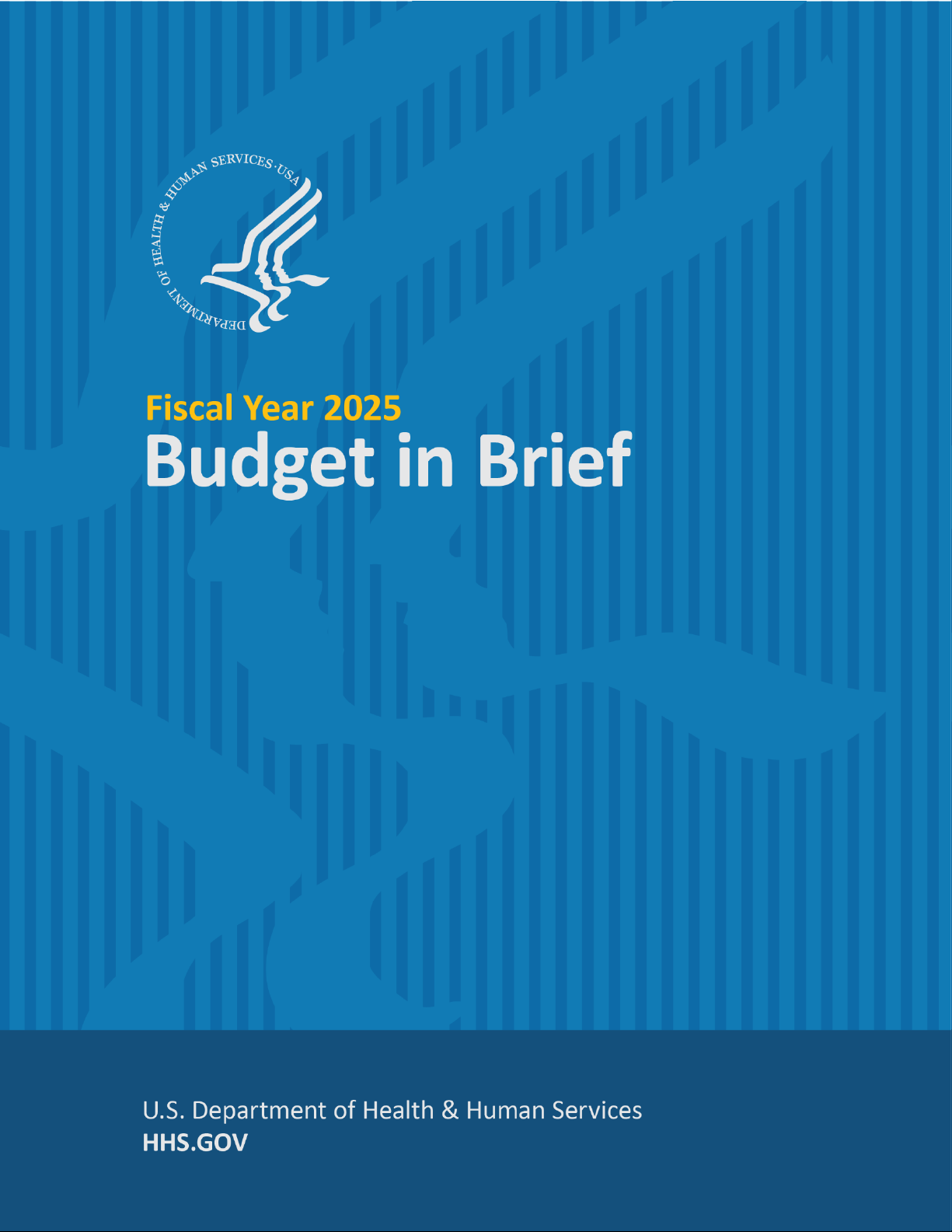Fiscal Year 2025 Budget in Brief