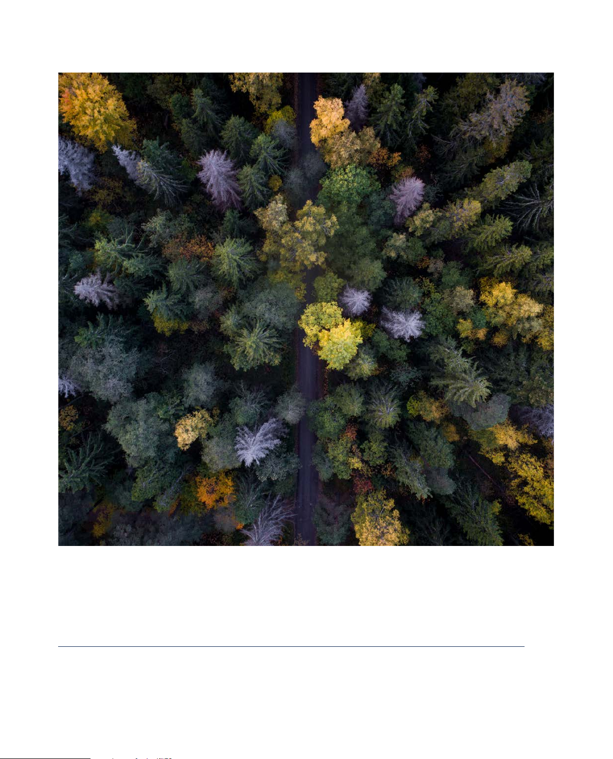 Environmental, Social and Governance report 2017