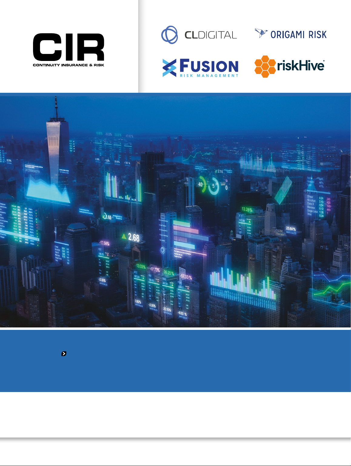 Risk Software Report 2025