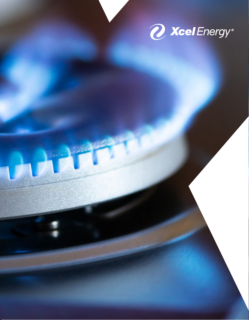 NATURAL GAS ENERGY EFFICIENCY SOLUTIONS