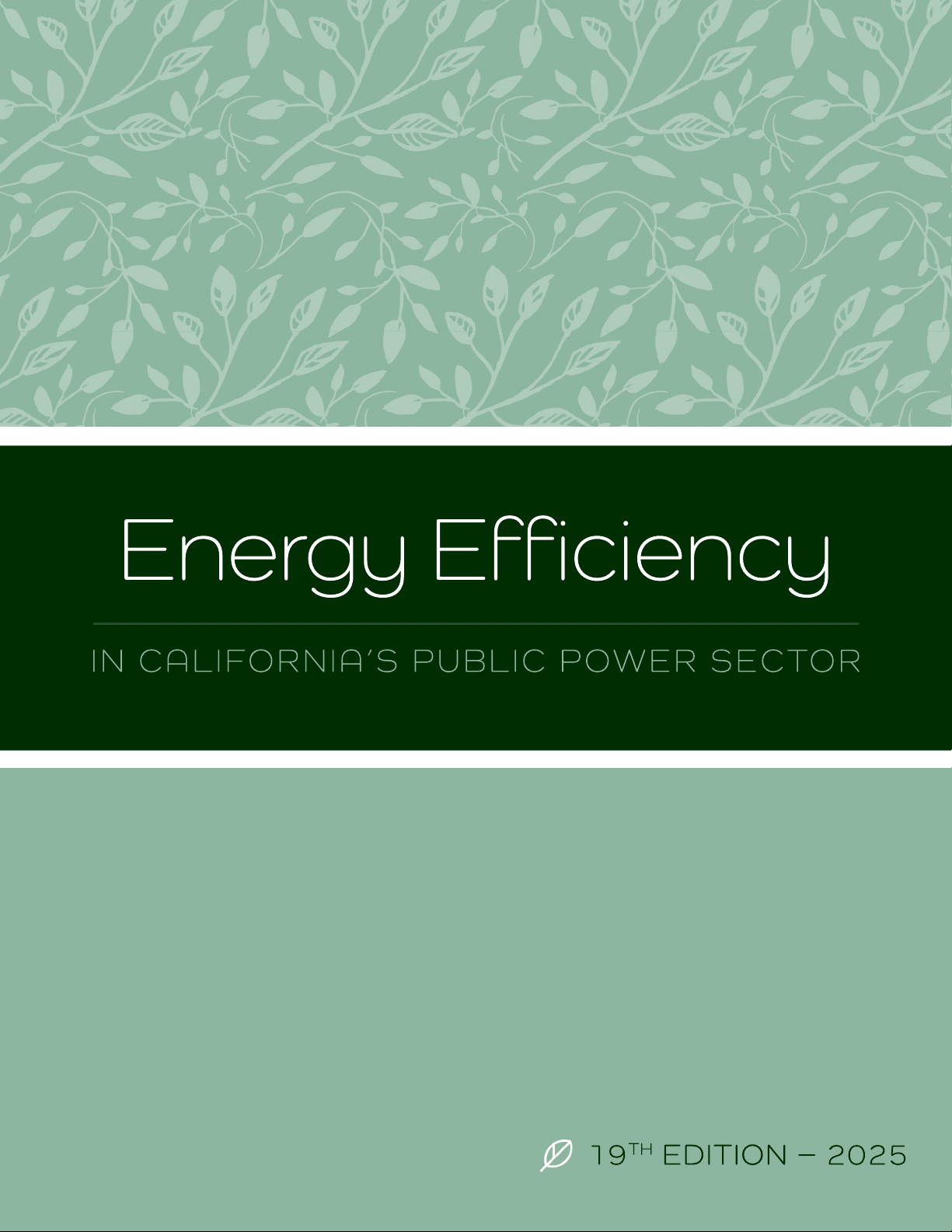 Energy Efficiency in California's Public Power Sector