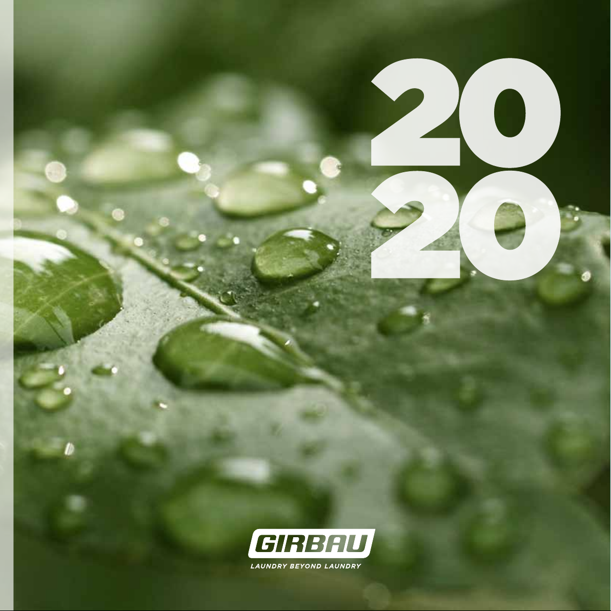 Sustainability Report 2020