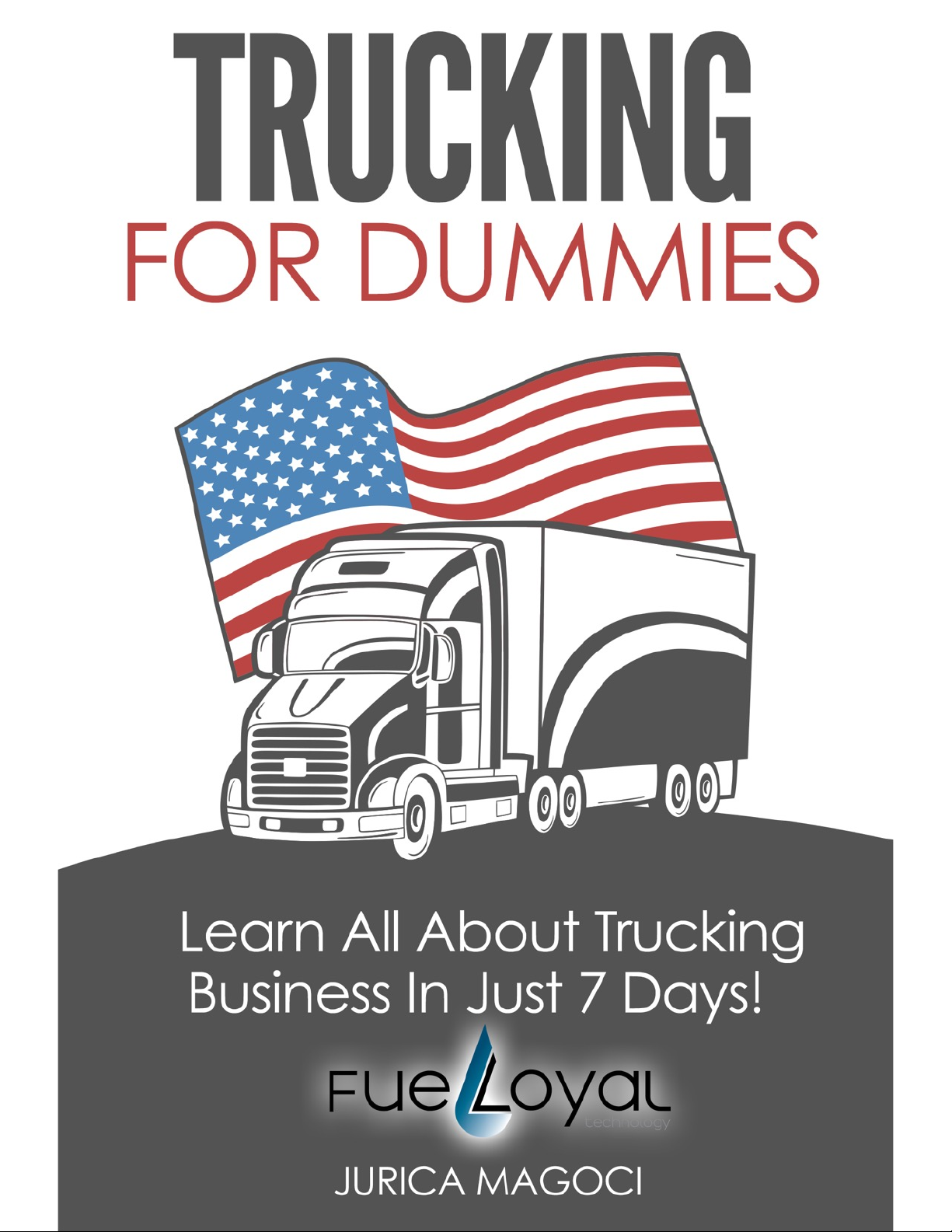 Trucking for Dummies - BEGGINERS GIUDE TO ENTERING THE TRUCKING INDUSTRY