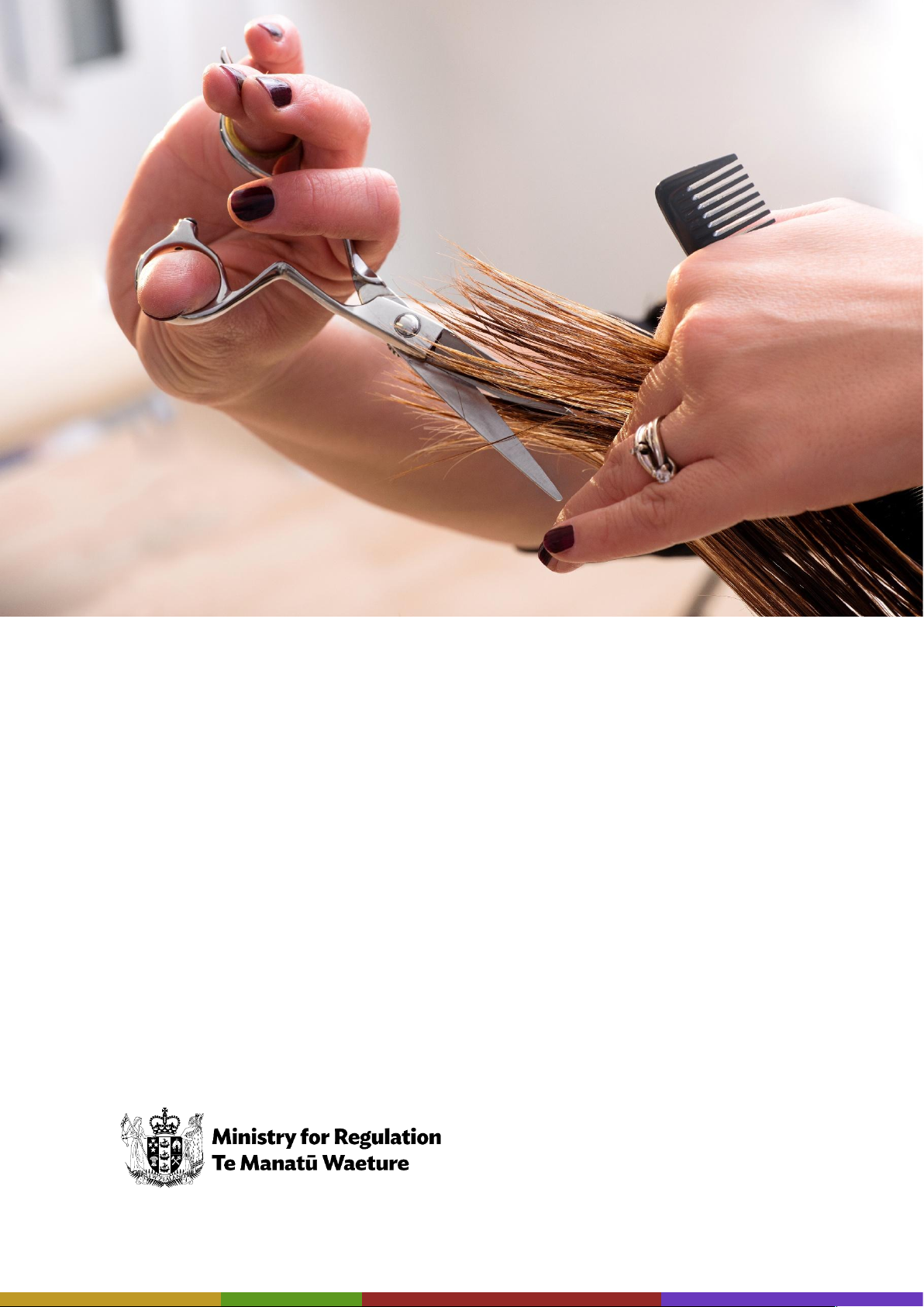 Hairdressing and Barbering Industry Regulatory Review Final Report