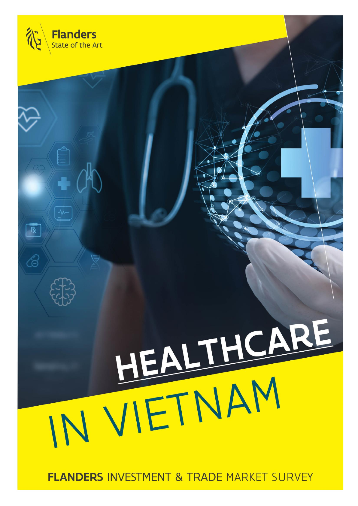 HEALTHCARE IN VIETNAM