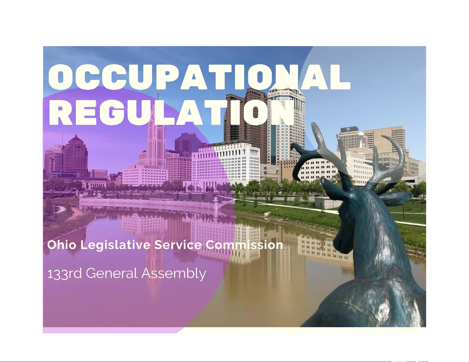 Occupational Regulation: A Guide to State Laws on the Practice of Regulated Occupations