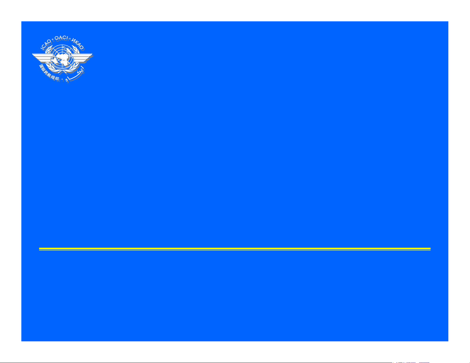 Special Implementation Project: Introduction to Business Case