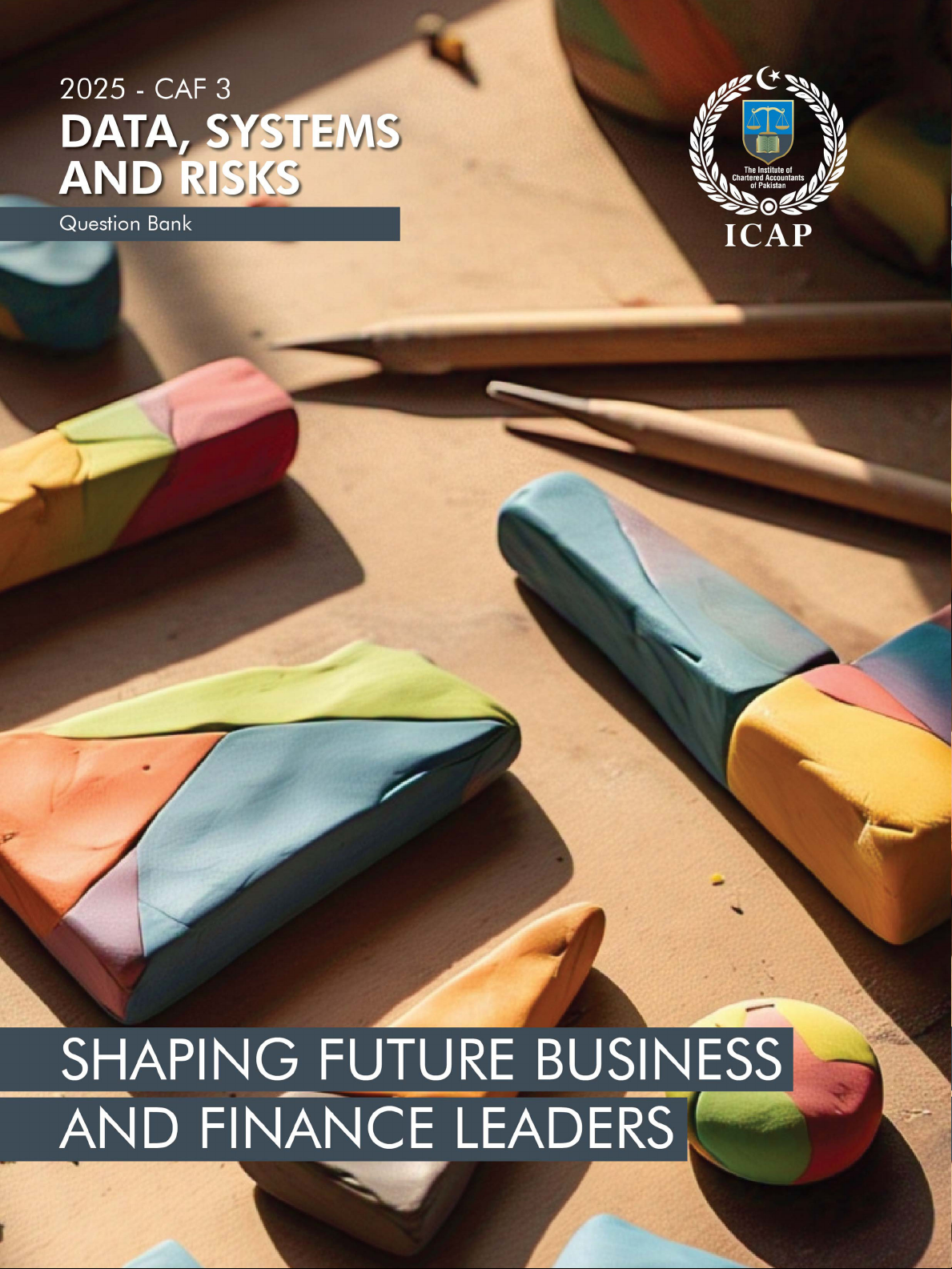 DATA, SYSTEMS AND RISKS