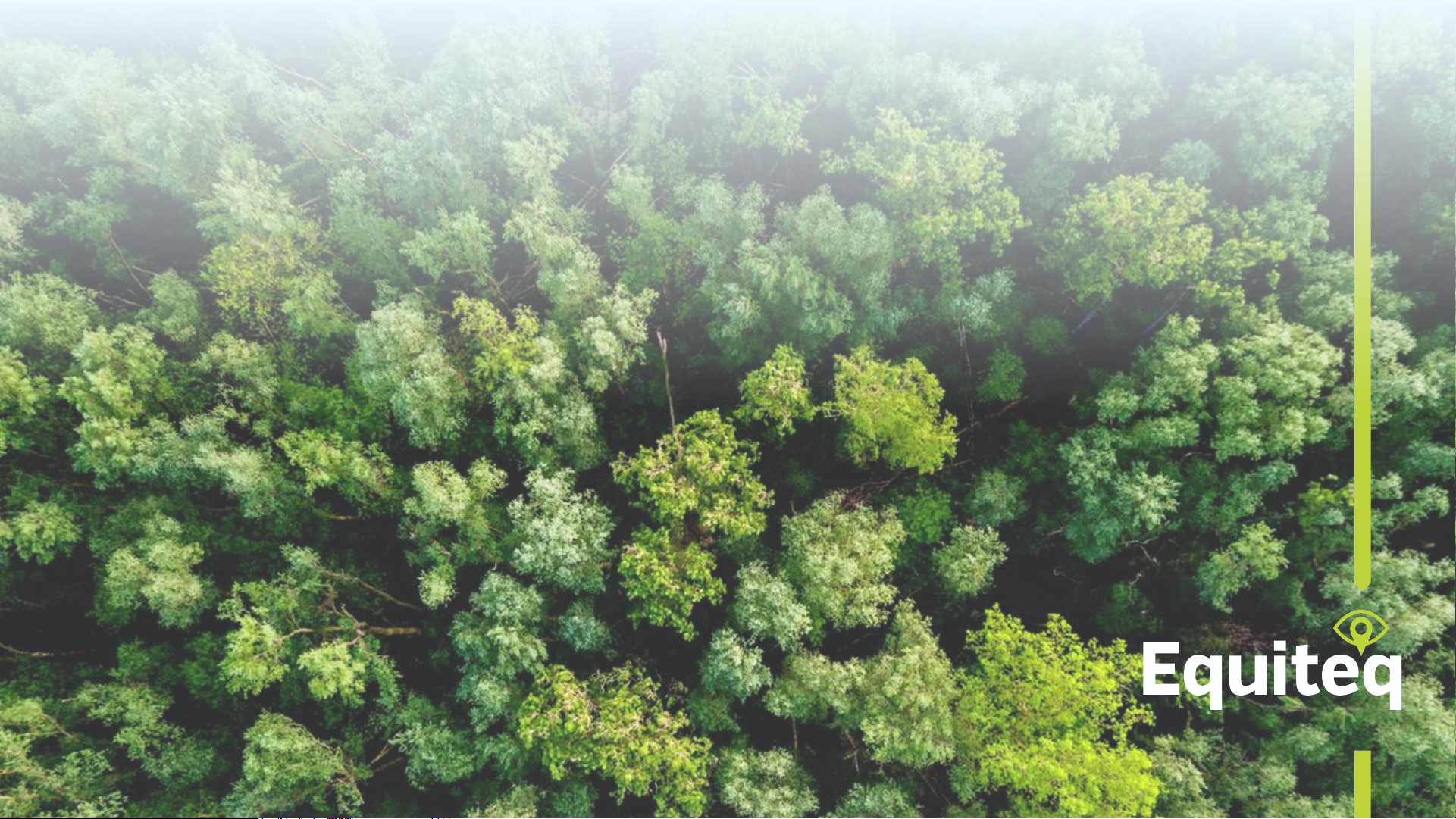 ESG Consulting – M&A report
