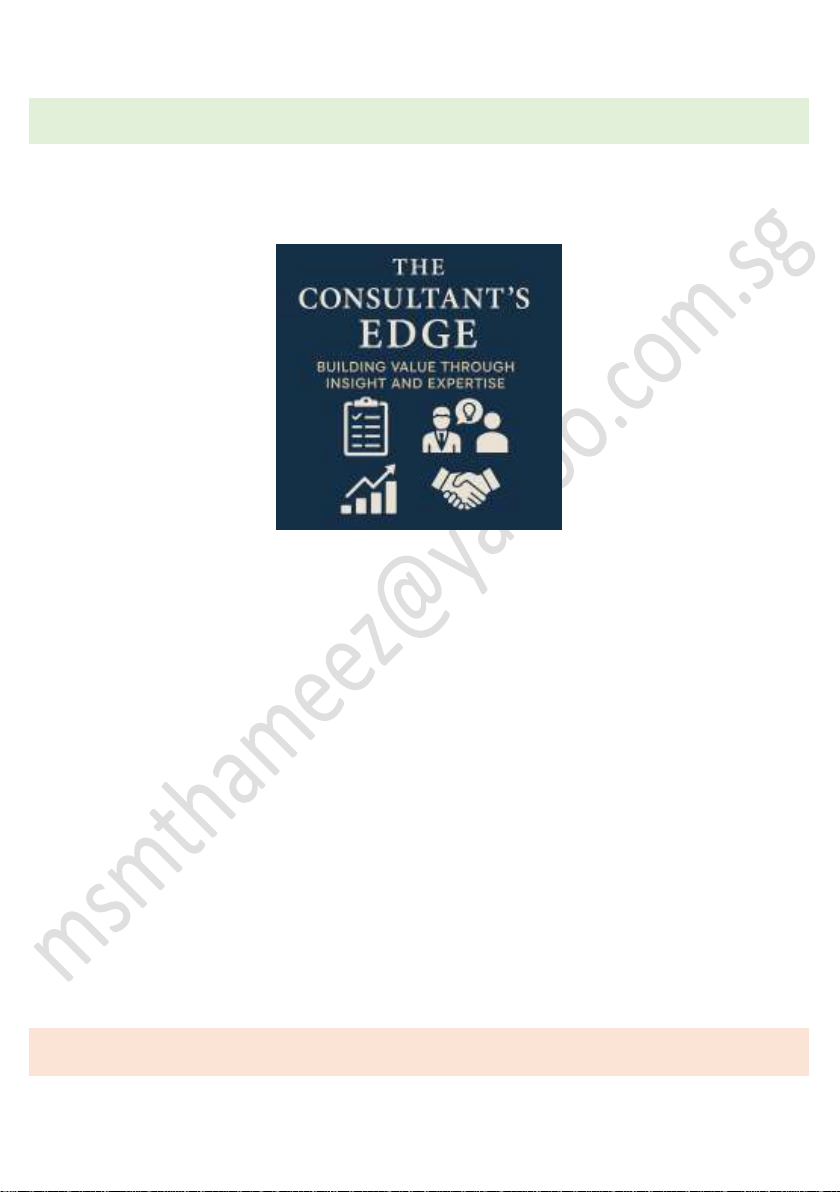 Foundations of Management Consulting: The Consultant's Edge: Building Value Through Insight and Expertise