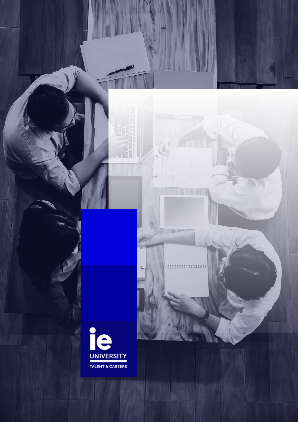 INDUSTRY REPORT CONSULTING