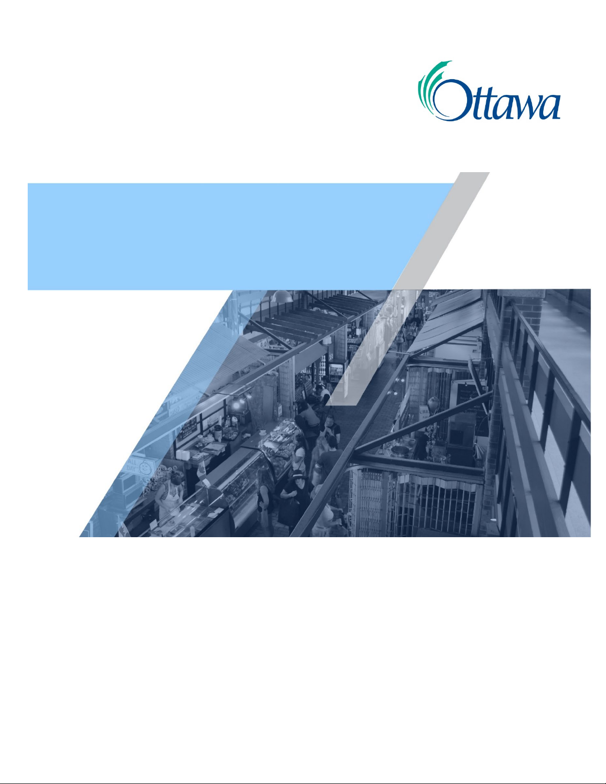 Licensing By-law Review Consultation Guide