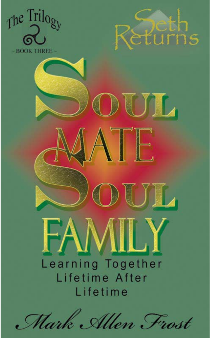 Soul Mate Soul Family