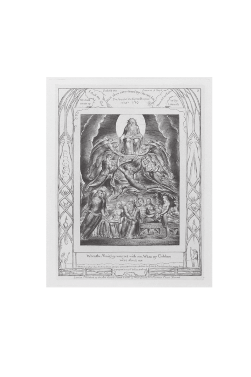 THE BOOK OF JOB