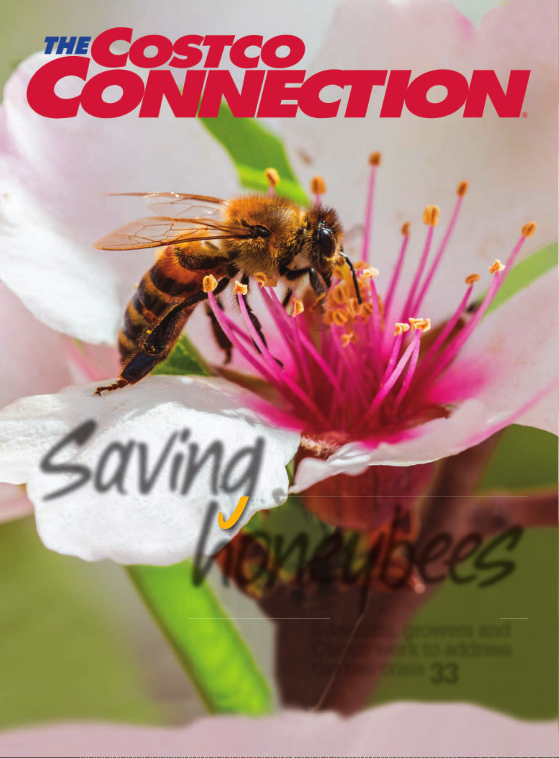The Costco Connection