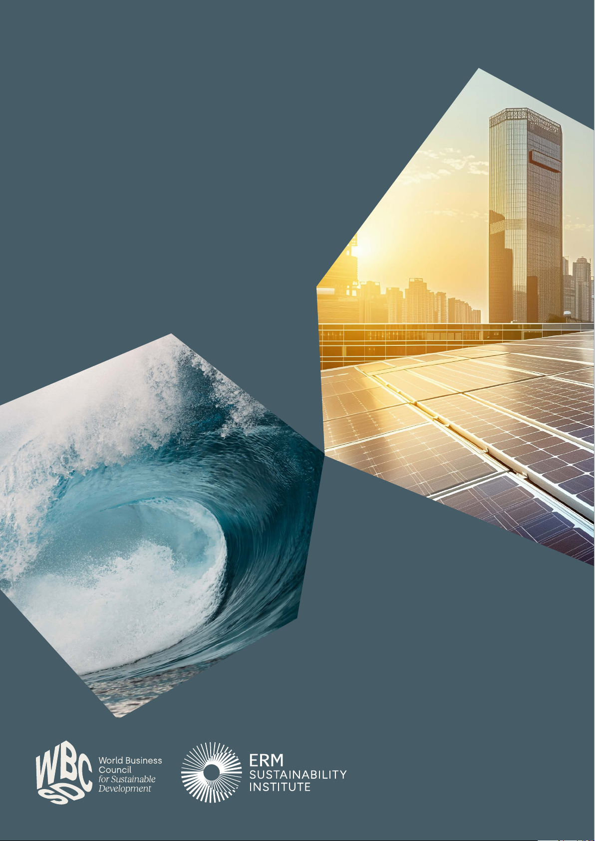 Catching the wave: Seizing the opportunities of the sustainability transformation