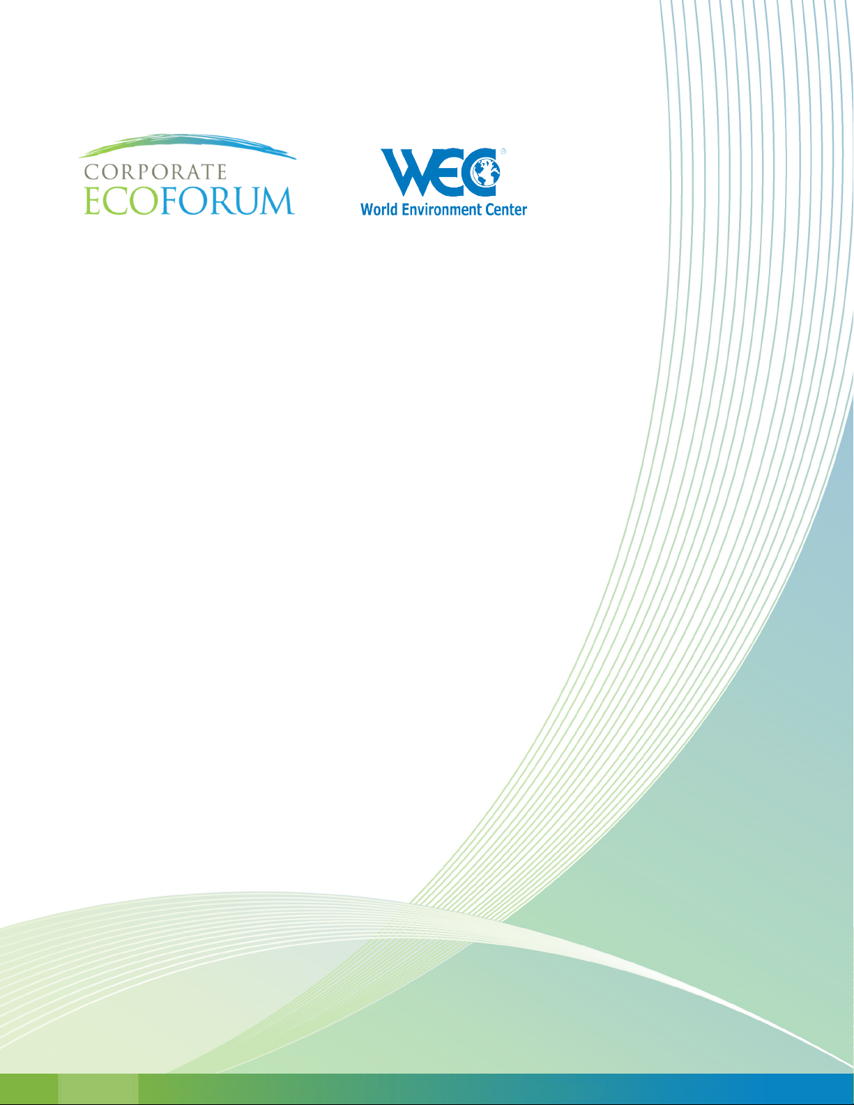 SUSTAINABILITY AND THE CFO: Challenges, Opportunities and Next Practices