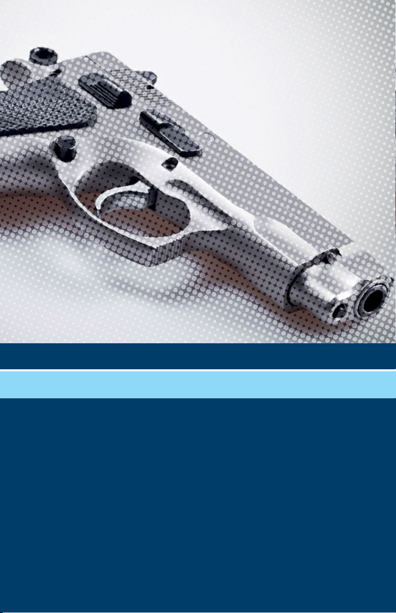 Detective fiction as trauma literature