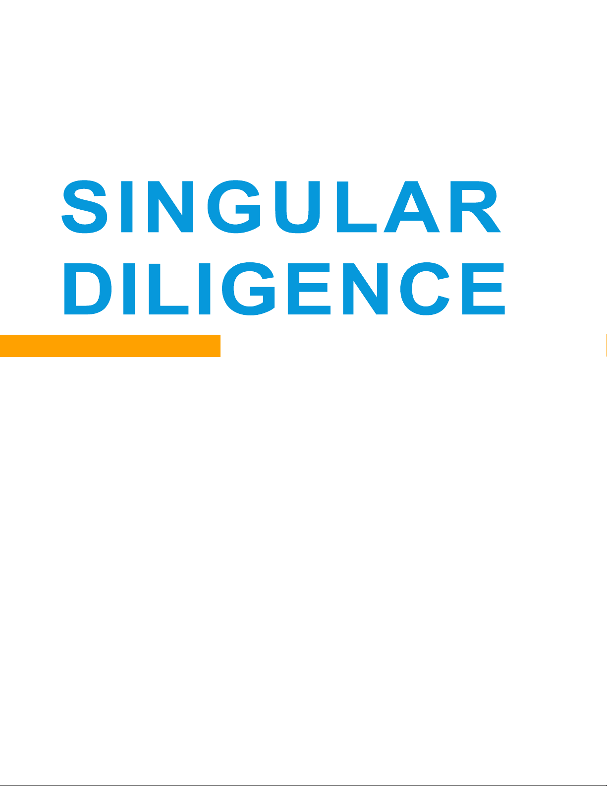 SINGULAR DILIGENCE