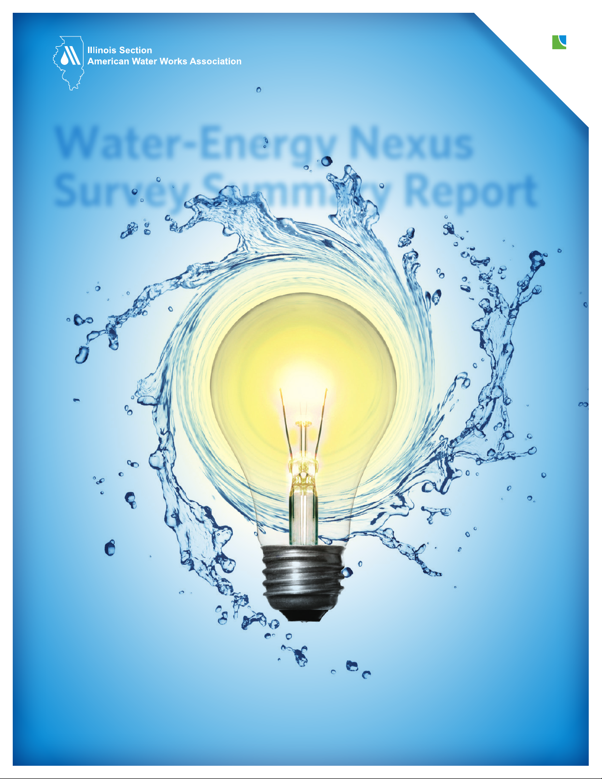 Water-Energy Nexus Survey Summary Report