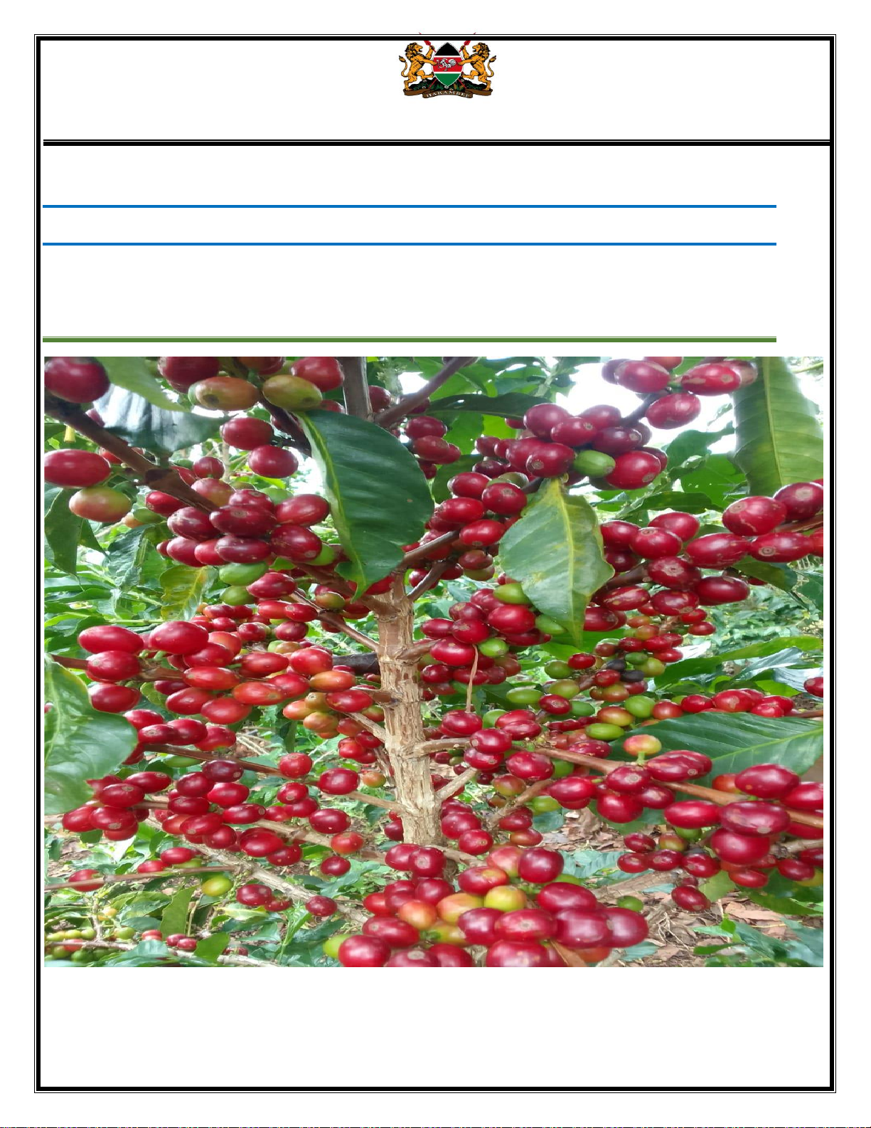 COFFEE DEVELOPMENT AND MARKETING STRATEGY 2024-2029