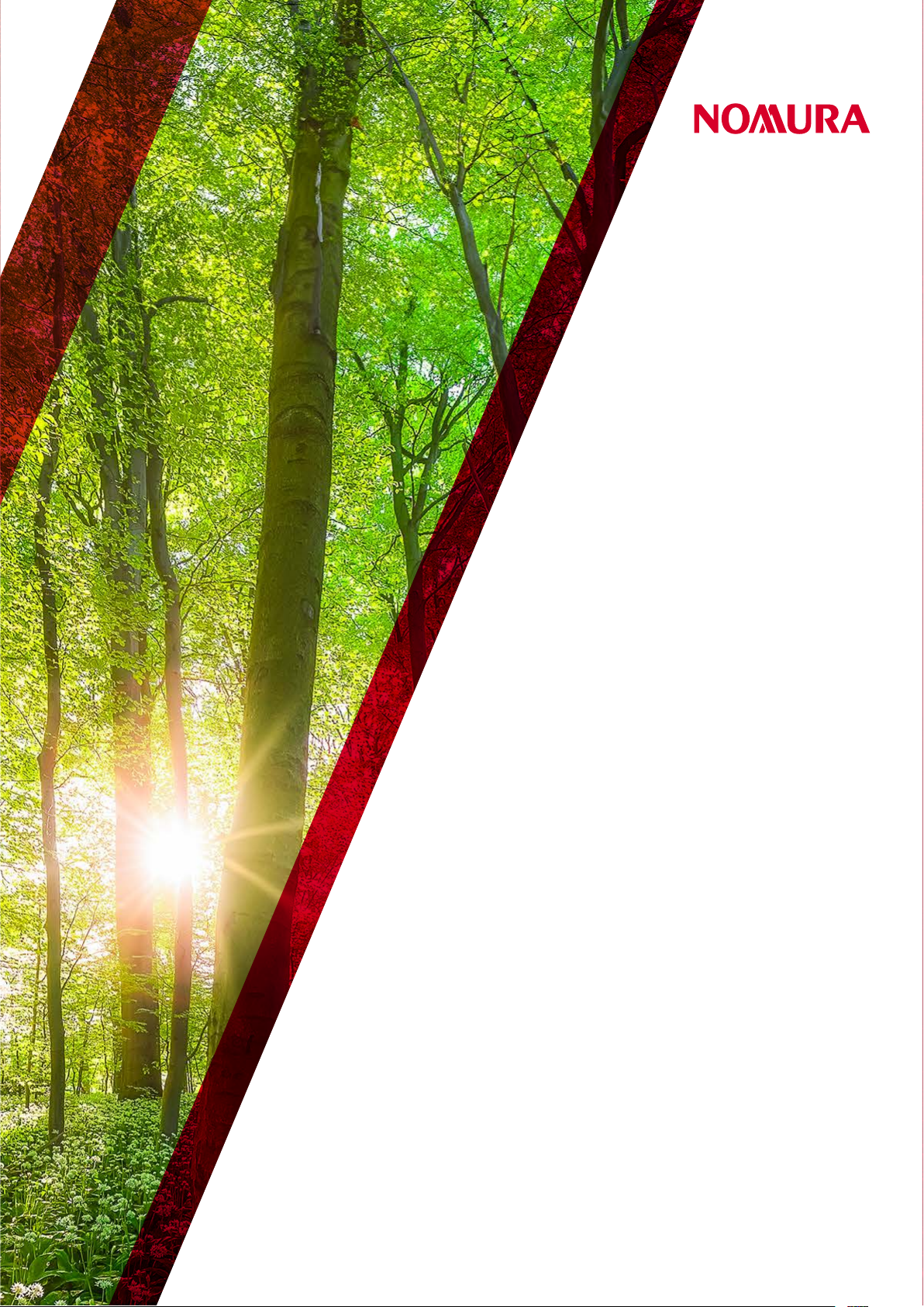 Avoided Emissions Report: Avoided emissions from the investor’s perspective - Forging a link between avoided emissions and enterprise value