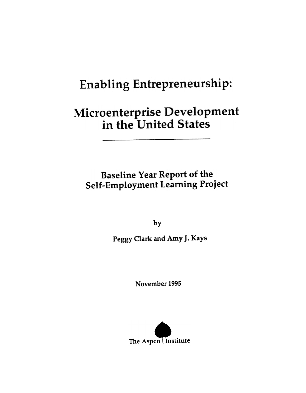 Enabling Entrepreneurship: Microenterprise Development in the United States