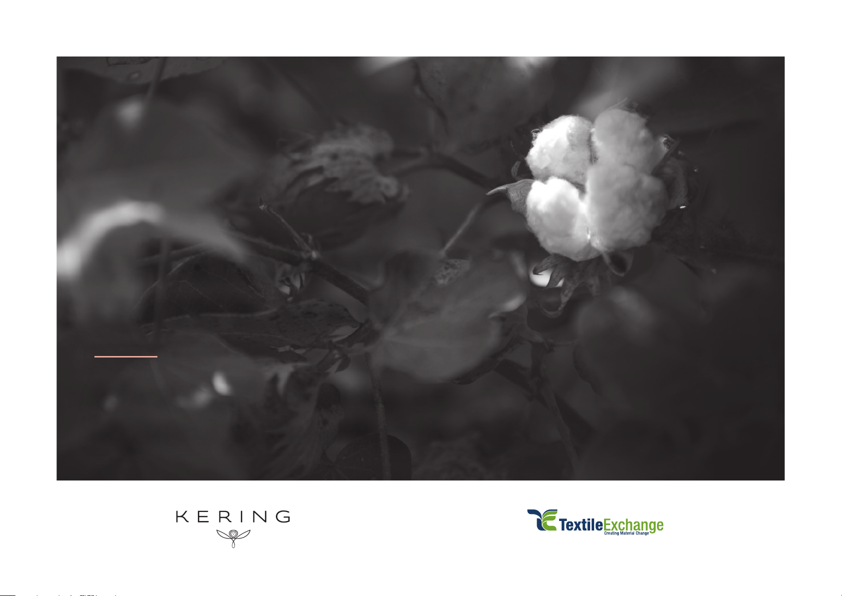 A WORLD BEYOND CERTIFICATION: A best practices guide for organic cotton trading models
