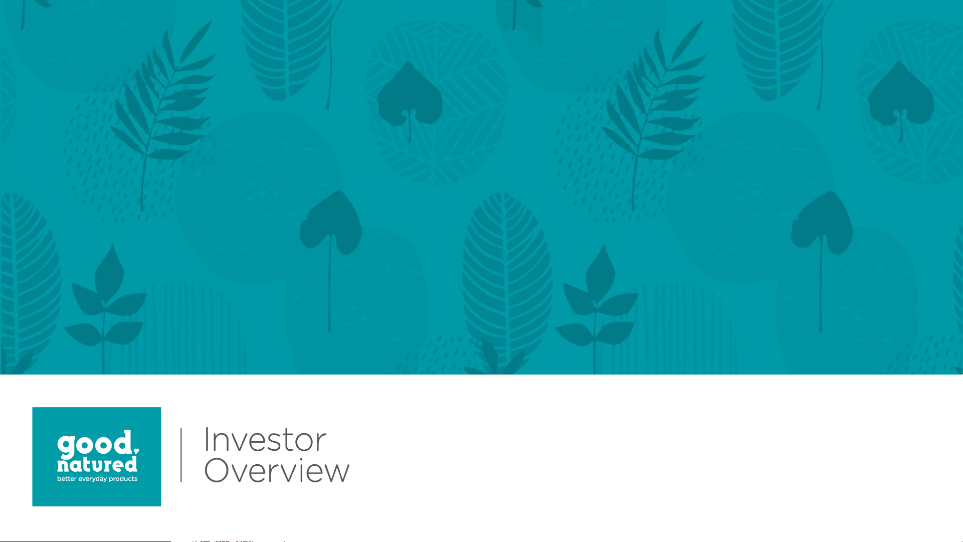 Investor Overview