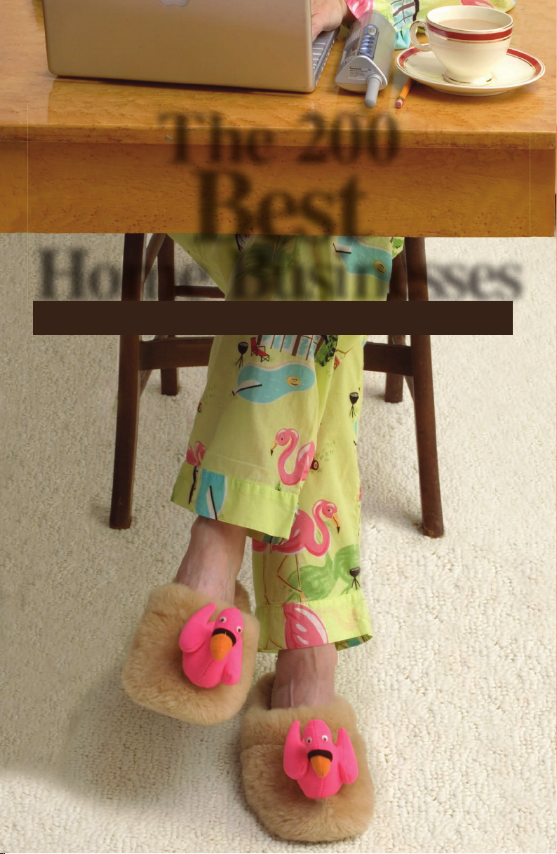 The 200 Best Home Businesses