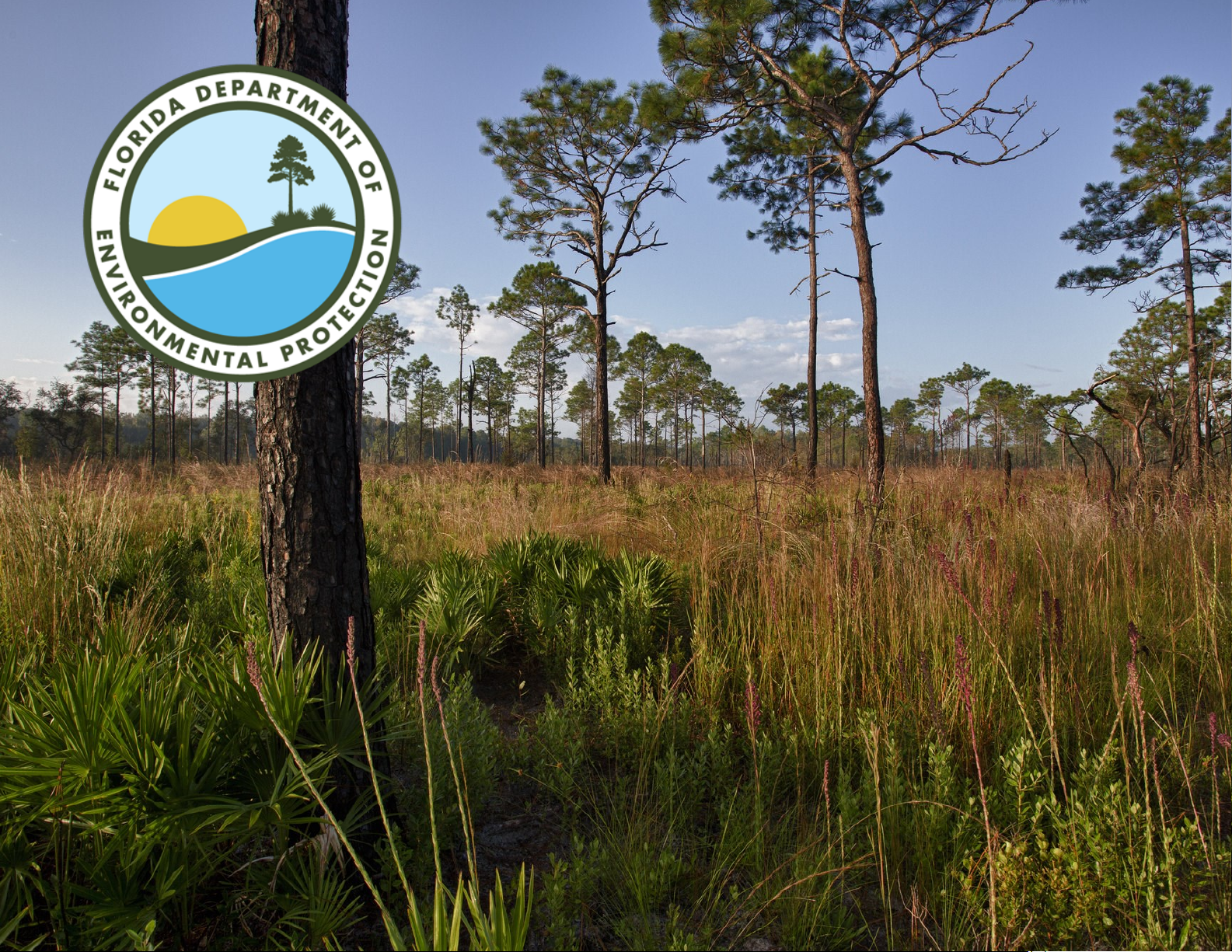 Compliance Calendar for Florida Perchloroethylene Dry Cleaners